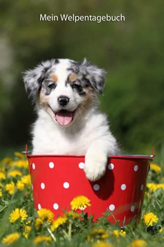 Mein Welpentagebuch: die ersten Monate mit meinem Australian Shepherd (Australian Shepherd - alle Bücher: Trainingstagebuch, Krankenakte und Welpentagebuch, Band 12)