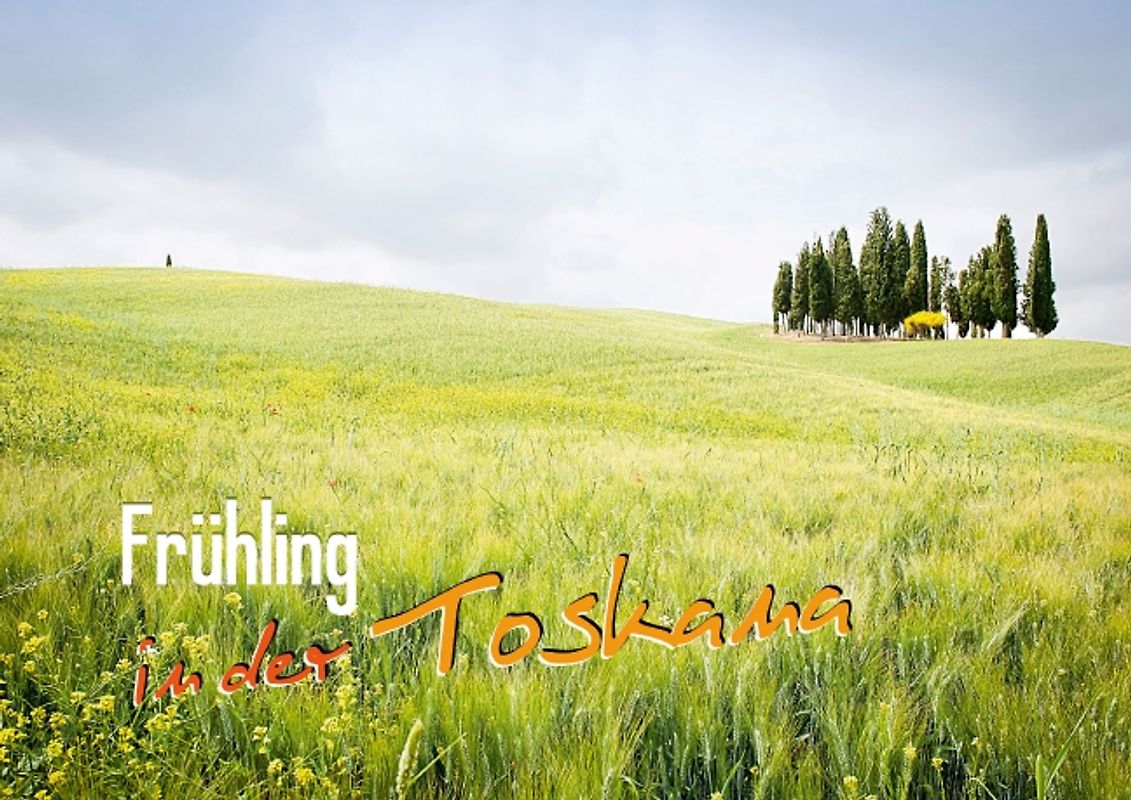 Frühling in der Toskana (Posterbuch DIN A4 quer)
