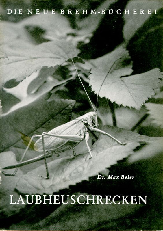 Laubheuschrecken