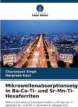 Mikrowellenabsorptionseigenschaften in Ba-Co-Ti- und Sr-Mn-Ti-Hexaferriten