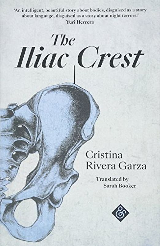 The Iliac Crest