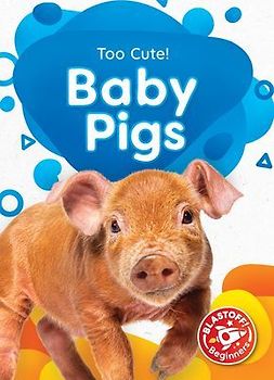 Baby Pigs