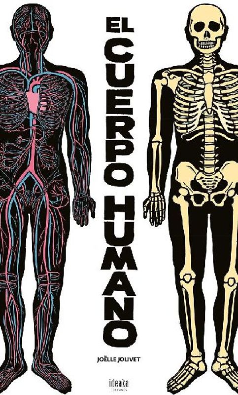 El cuerpo humano