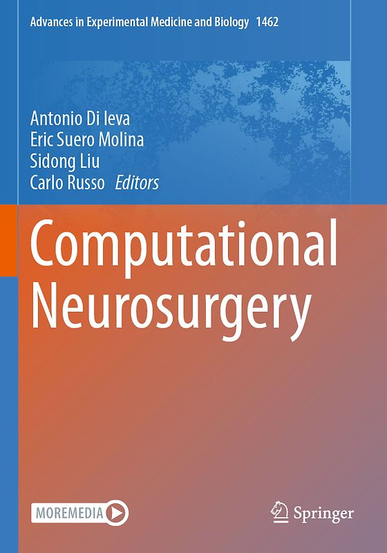 Computational Neurosurgery