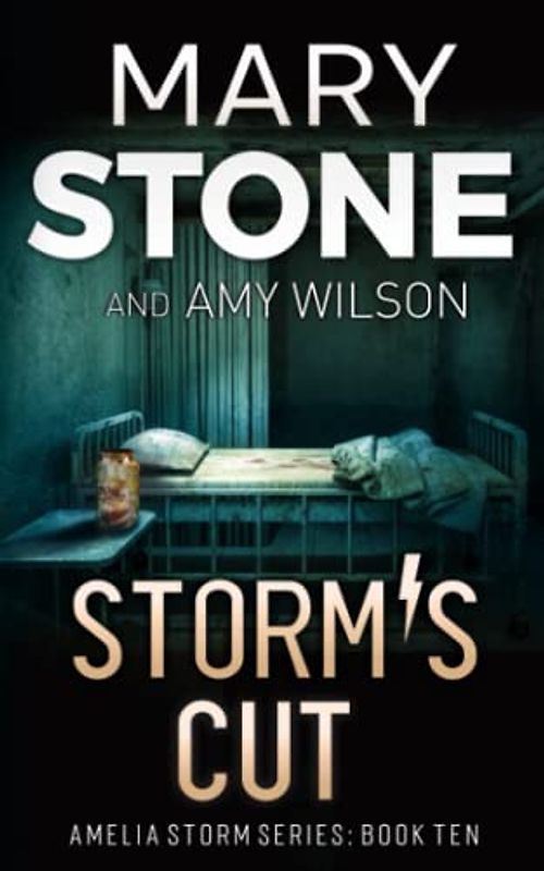 Storm's Cut (Amelia Storm FBI Mystery Series, Band 10)