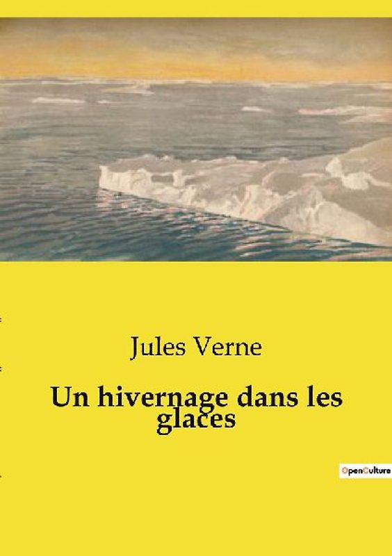 Un hivernage dans les glaces