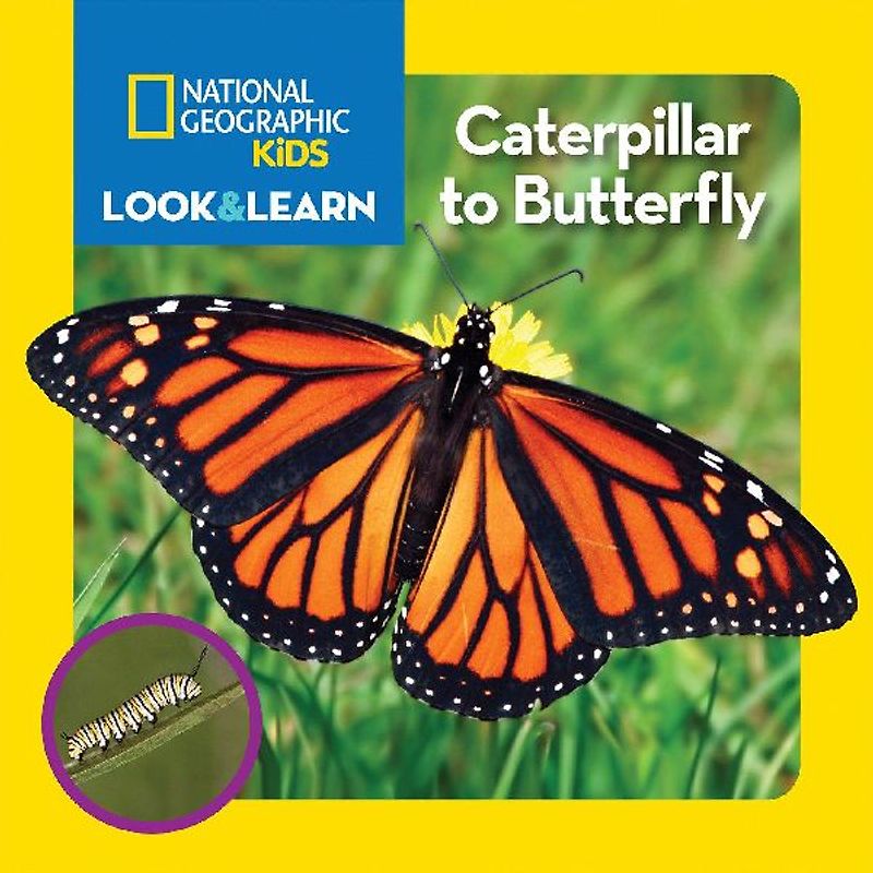 National Geographic Kids Look & Learn: Caterpillar to Butterfly