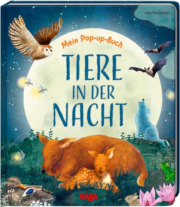 Mein Pop-up-Buch – Tiere in der Nacht