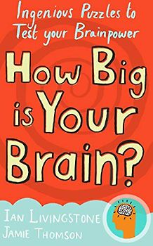 How Big is Your Brain?: Ingenious Puzzles to Test Your Brainpower: Interactive Puzzles to Test Your Brainpower