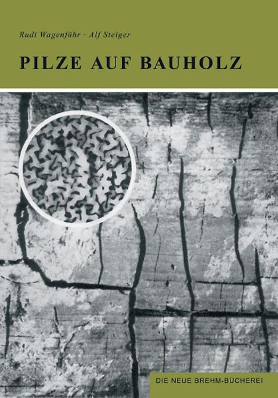 Pilze auf Bauholz