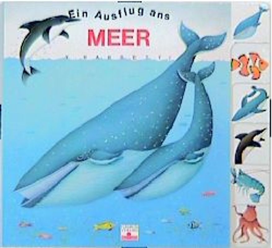 Ein Ausflug ans Meer