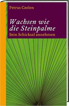 Wachsen wie die Steinpalme