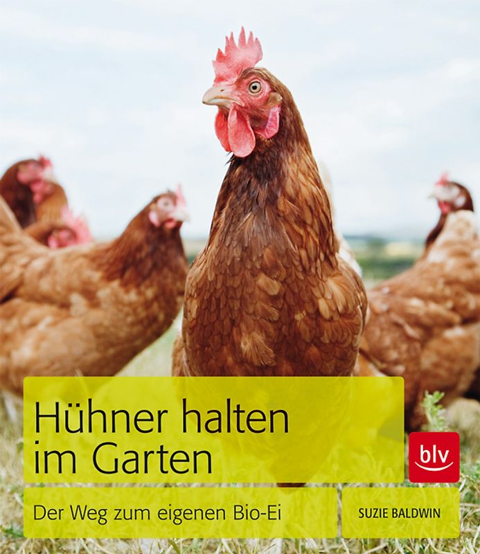 Hühner halten im Garten