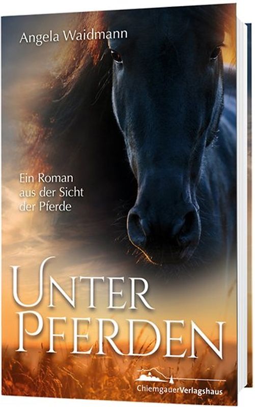 Unter Pferden