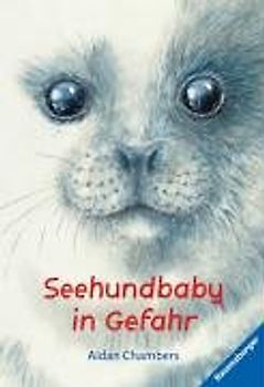 Seehundbaby in Gefahr