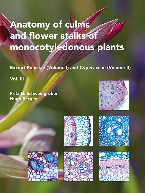 Anatomy of culms and flower stalks of monocotyledonous plants, Volume 3