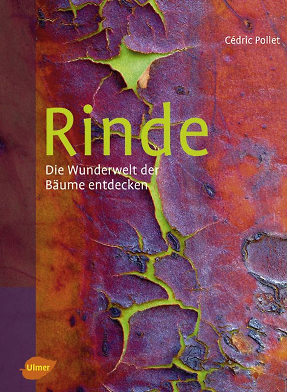 Rinde