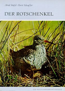 Der Rotschenkel. Tringa totanus