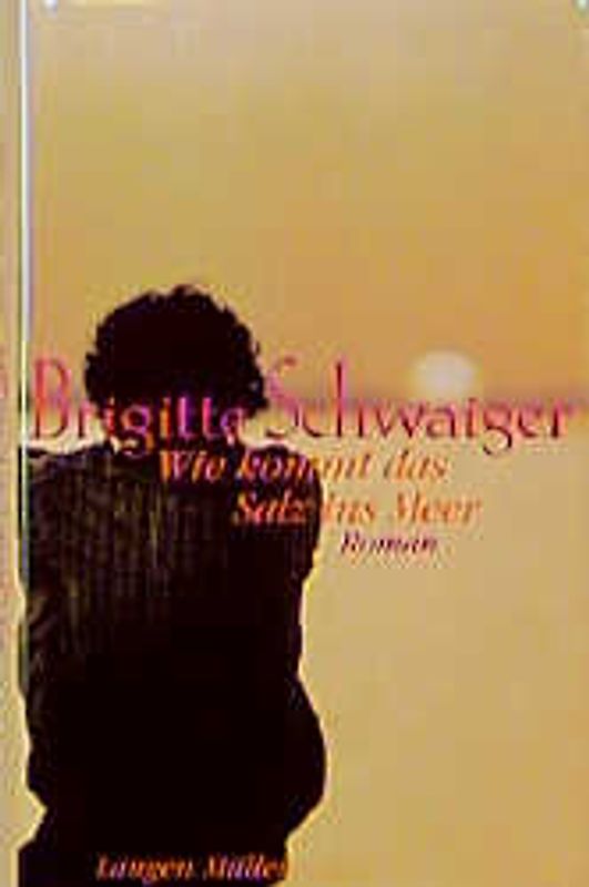 Wie kommt das Salz ins Meer