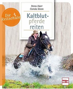 Kaltblutpferde reiten
