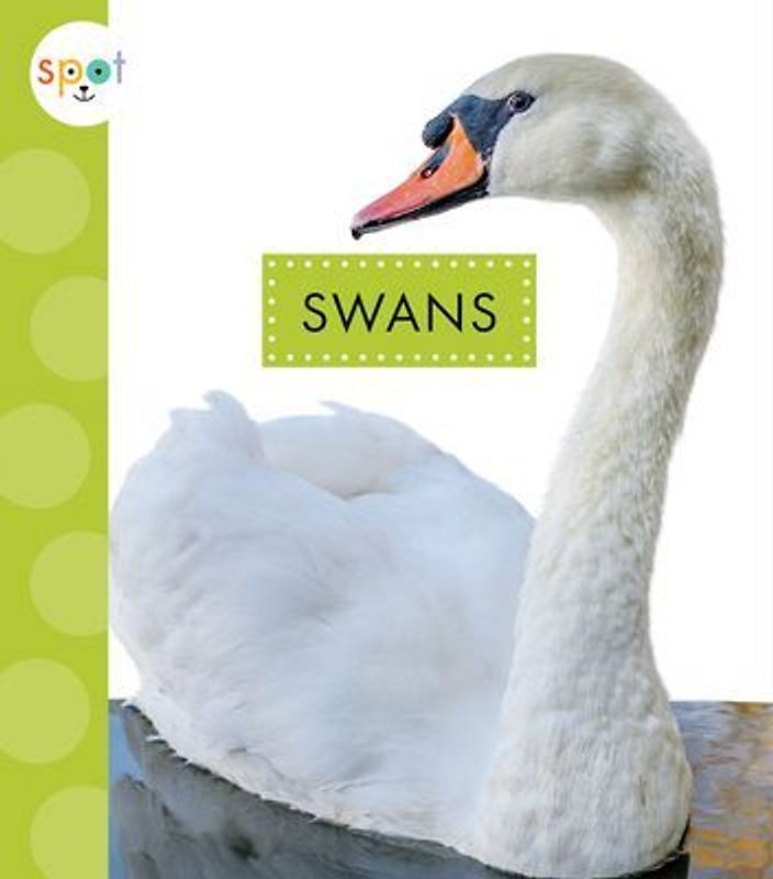 Swans