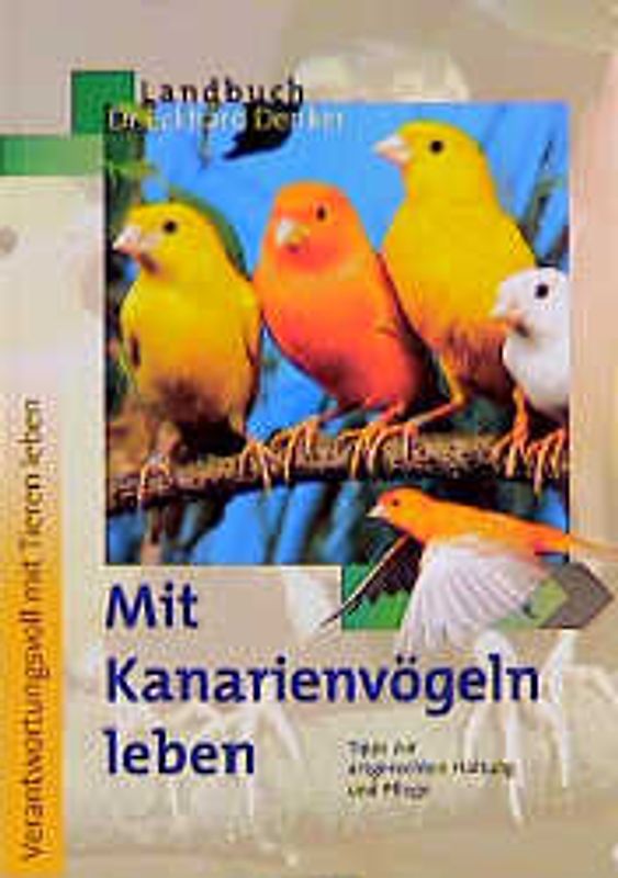 Mit Kanarienvögeln leben