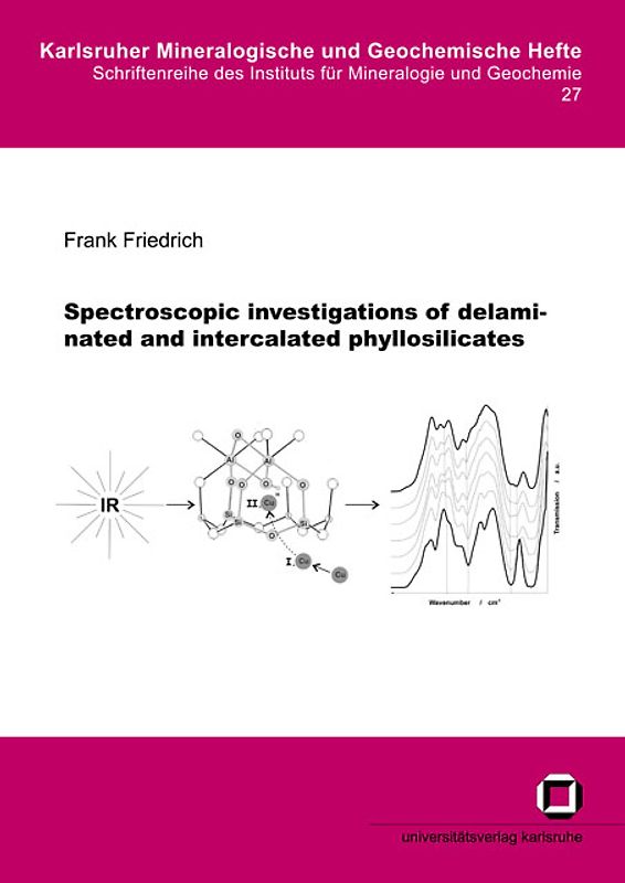 Spectroscopic investigations of delaminated and intercalated phyllosilicates