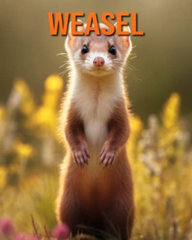 Weasel: Fun Facts Book for Kids with Amazing Photos