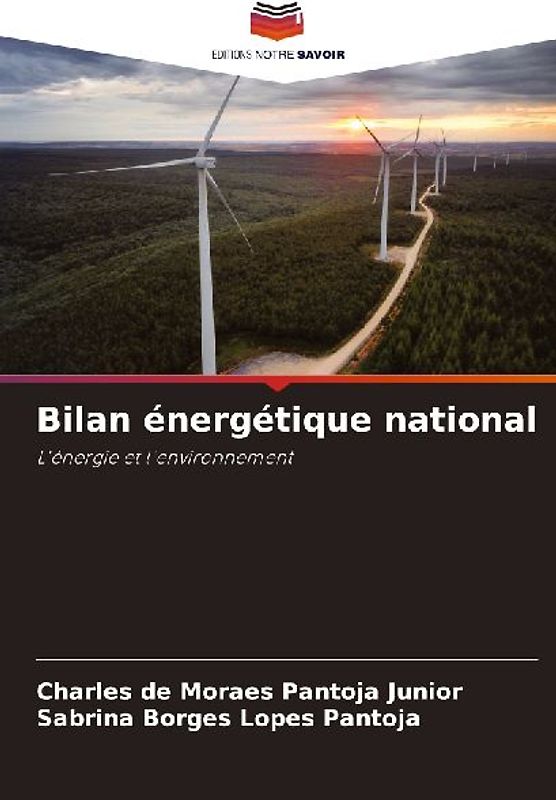 Bilan énergétique national
