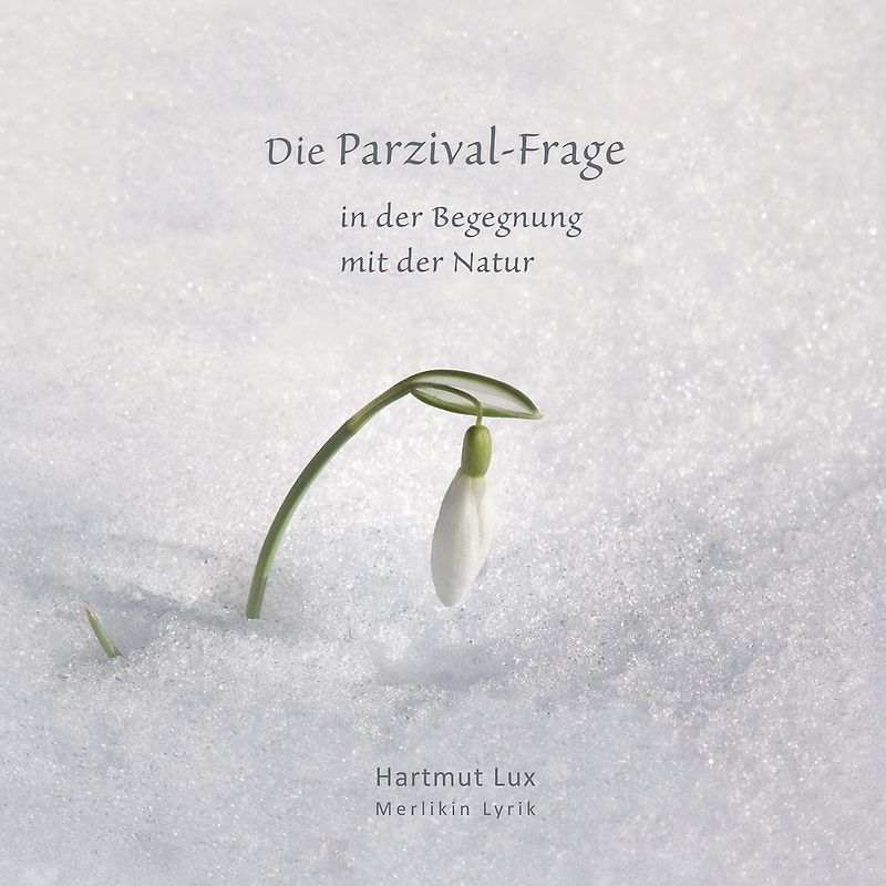Die Parzival-Frage
