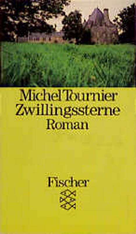 Zwillingssterne. Roman