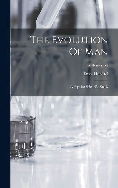 The Evolution Of Man