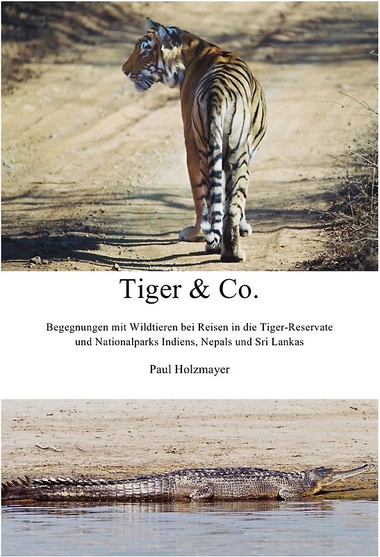 Tiger & Co.