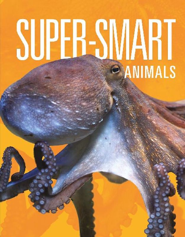 Super-Smart Animals