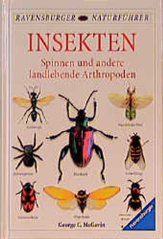 Insekten