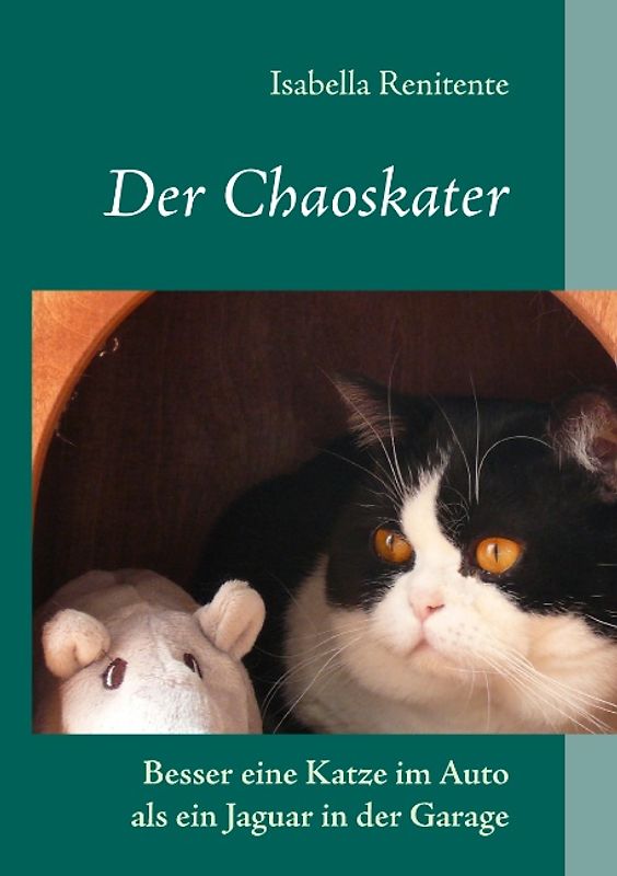 Der Chaoskater