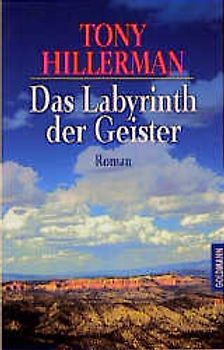 Das Labyrinth der Geister