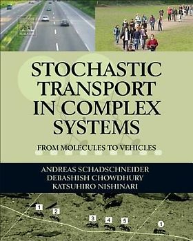 Stochastic Transport in Complex Systems
