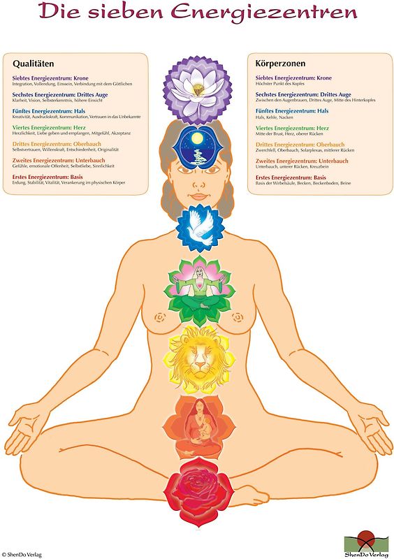 Die sieben Energiezentren und ihre Öffnungspunkte Schaubild DIN A3