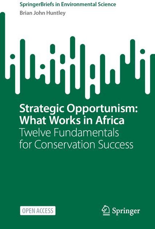 Strategic Opportunism: What Works in Africa