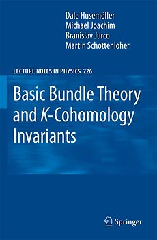 Basic Bundle Theory and K-Cohomology Invariants