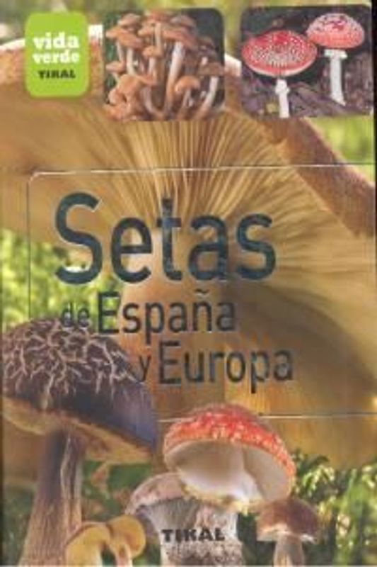 Setas de España y Europa