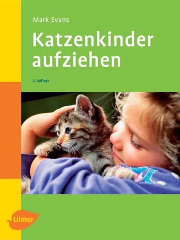 Katzenkinder aufziehen