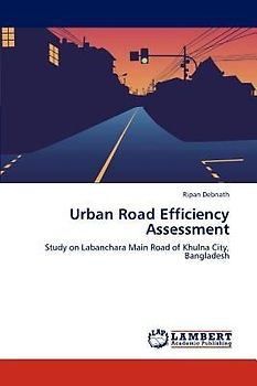 Urban Road Efficiency Assessment