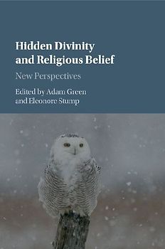 Hidden Divinity and Religious Belief