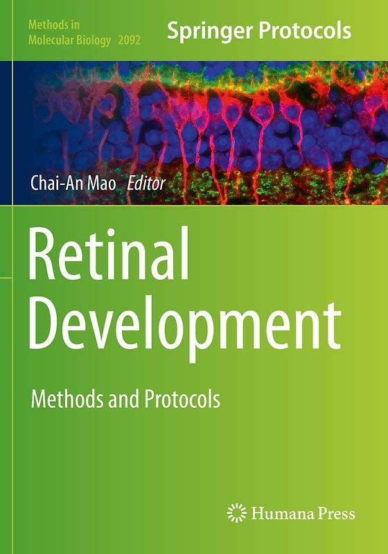 Retinal Development