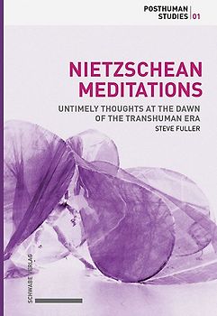 Nietzschean Meditations (hardcover)