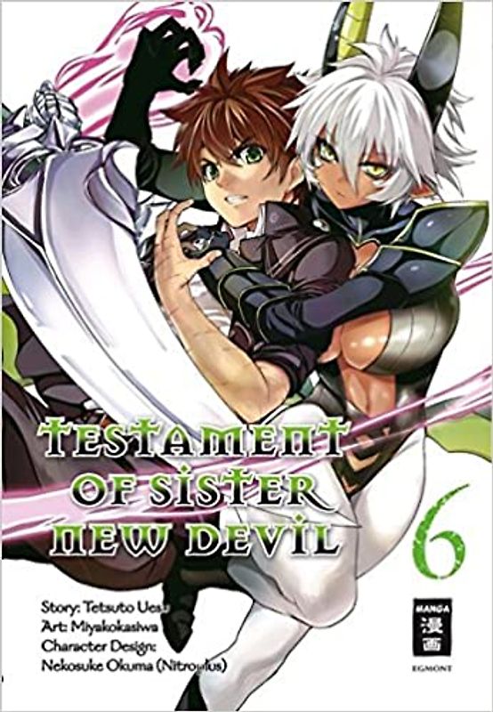Testament of Sister New Devil 06