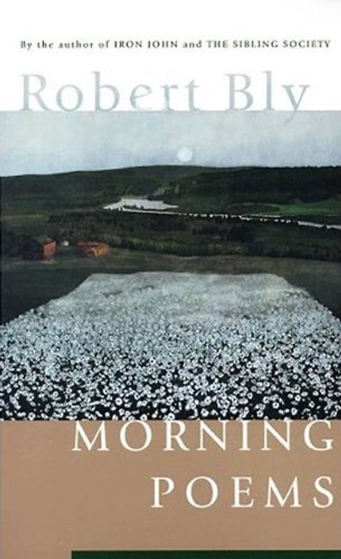 Morning Poems - Bly, Robert