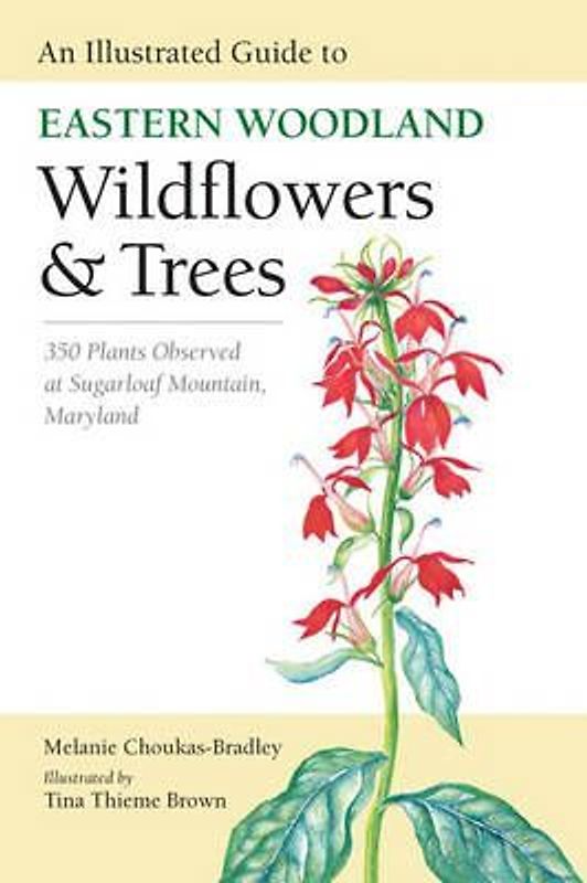 An Illustrated Guide to Eastern Woodland Wildflowers and Trees